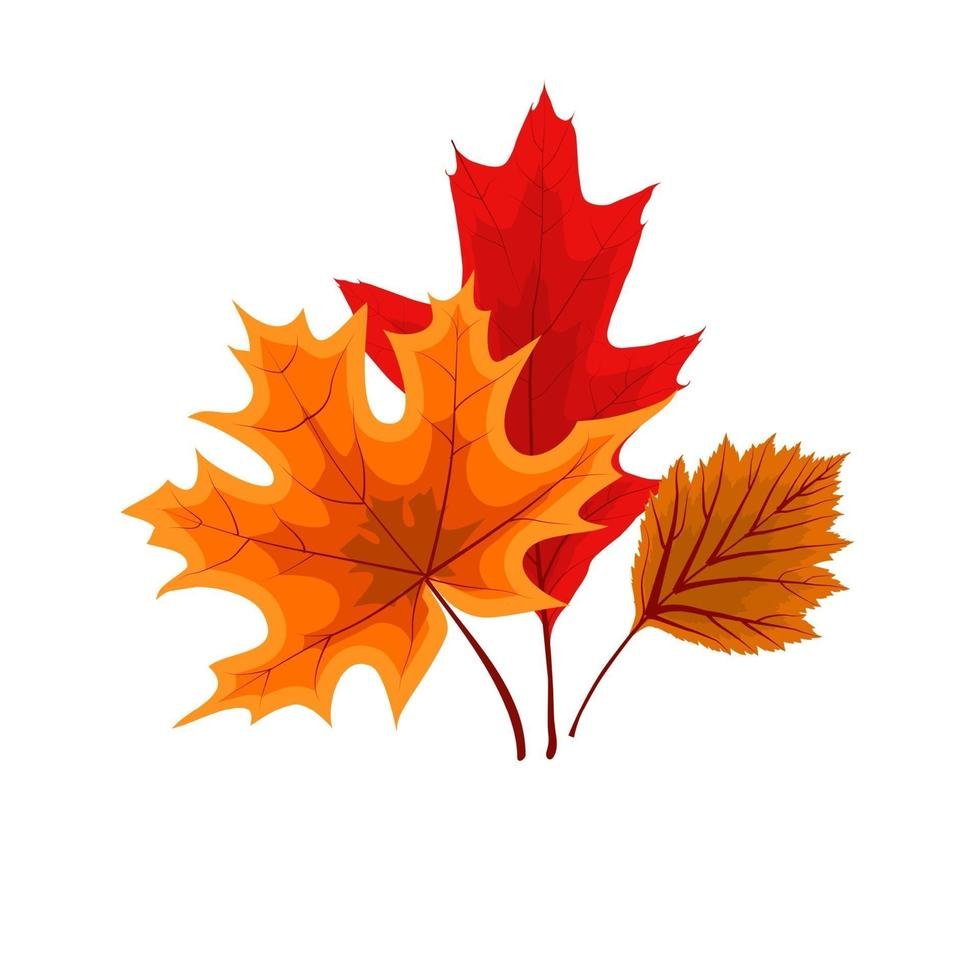 autumn falling leaves icon free vector